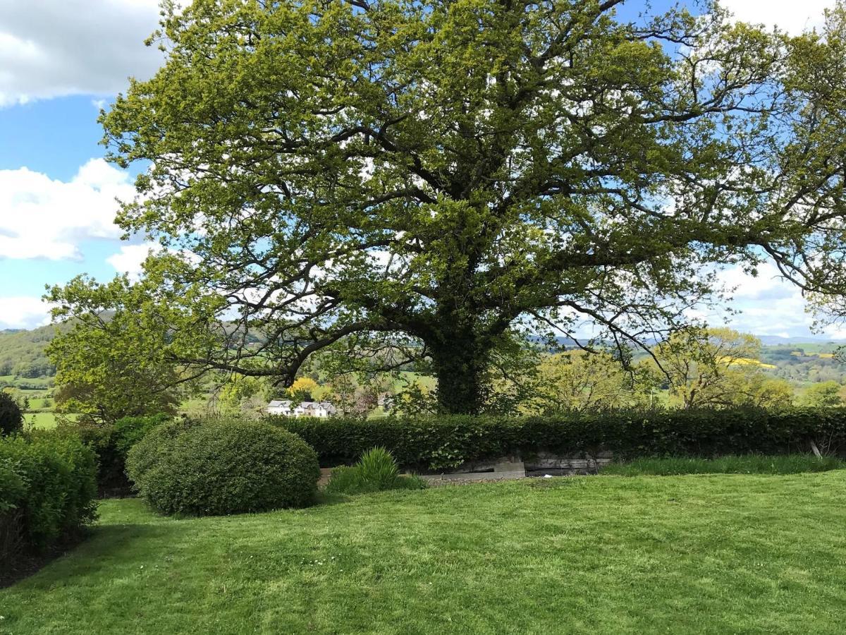 Willa Berwyn View Welshpool Zewnętrze zdjęcie